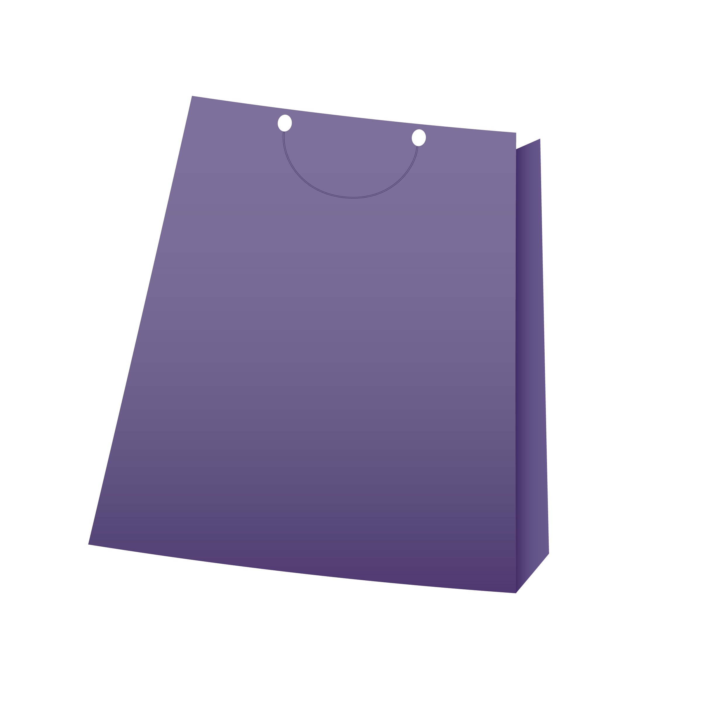 Gift Bag Purple